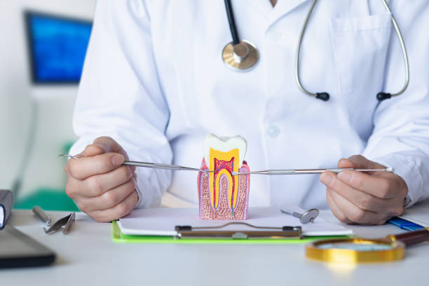 Best Emergency Treatment for Oral Infections in Berlin, MD